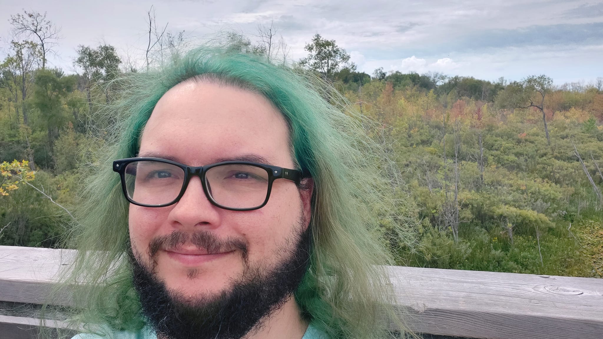 A man with green hair sits on the upper platform of a lookout, marsh is in the background, Photo 2